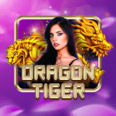 Dragon Tiger OKPLUS live casino